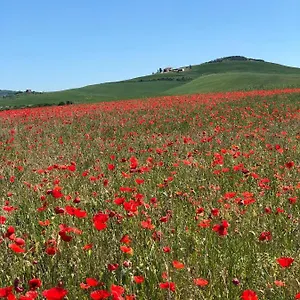 Poggio Tobruk Пиенца